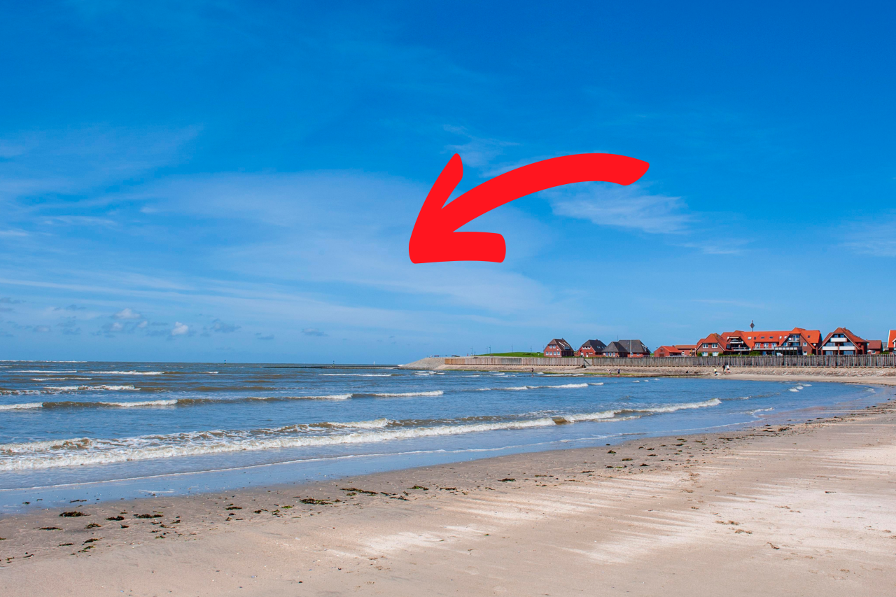 An einem Strand auf Baltrum hat eine Urlauberin ein seltenes Tier entdeckt. 