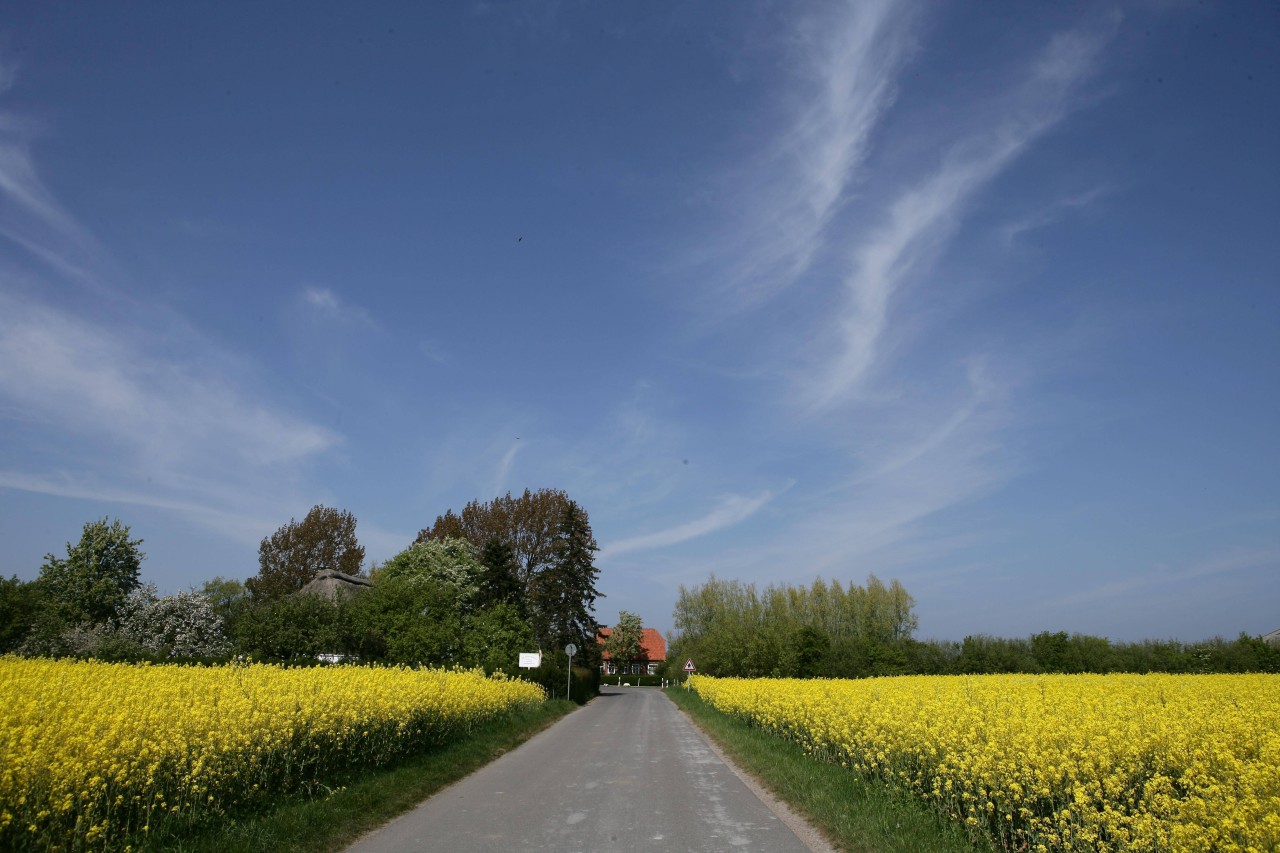 Die Insel Fehmarn will viel Geld in den Straßenbau investieren. 