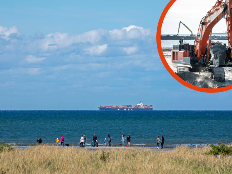 Fehmarn Bilder Einwohner Insel-Fans.png