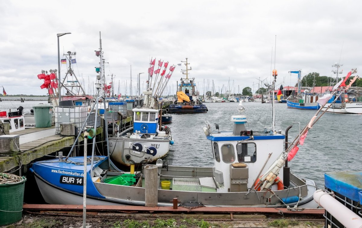 Fehmarn Burgstaaken Lockdown