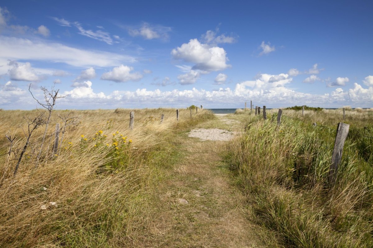 Fehmarn_Corona.jpg