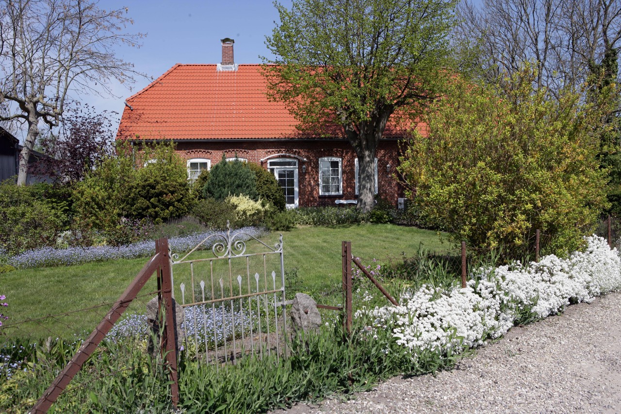 Häuser auf Fehmarn sind in den letzten Jahren immer teurer geworden (Symbolbild). 