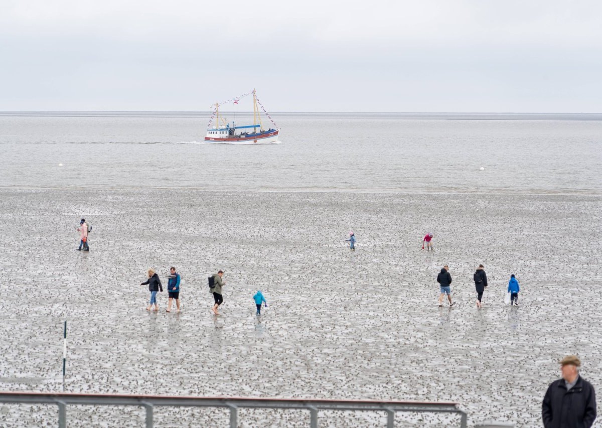 Ferien an der Nordsee Wetter Watt.jpg