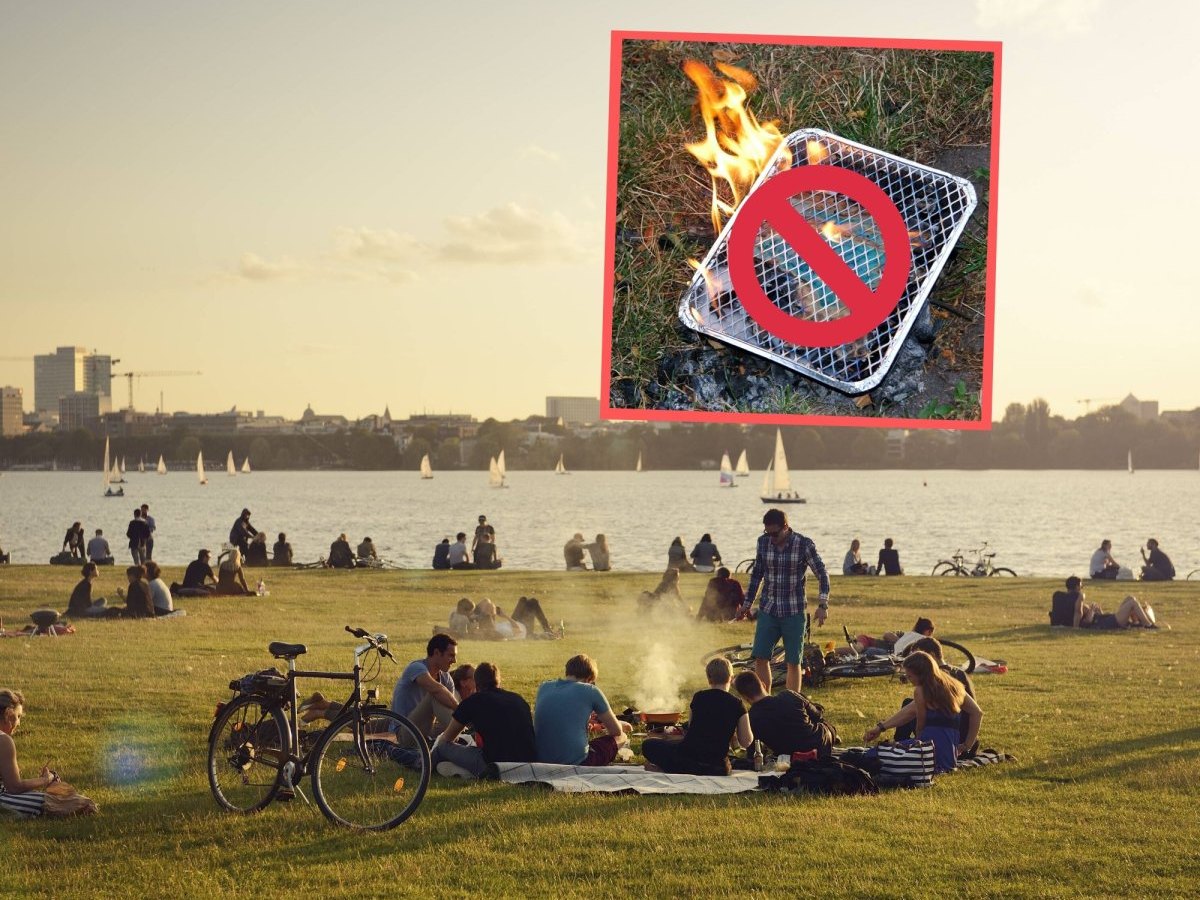 Feuer Hamburg Grillen.jpg