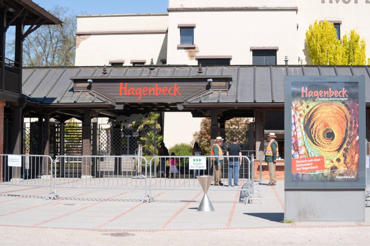 Hagenbeck Tierpark Zoo Hamburg Nachwuchs Tiere Junge Walross Thor Odin