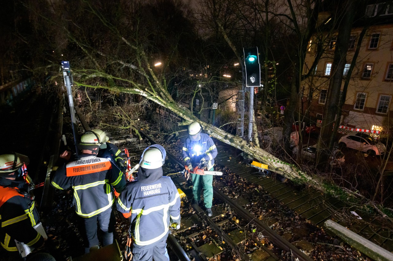 Umgerissen durch die Kraft des Orkans: Ein Baum auf Bahngleisen in Hamburg. (Archivbild)