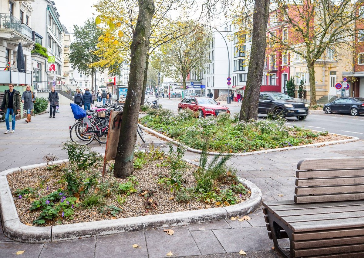 Hamburg Eimsbütteler Straße Blumenbeet.jpg