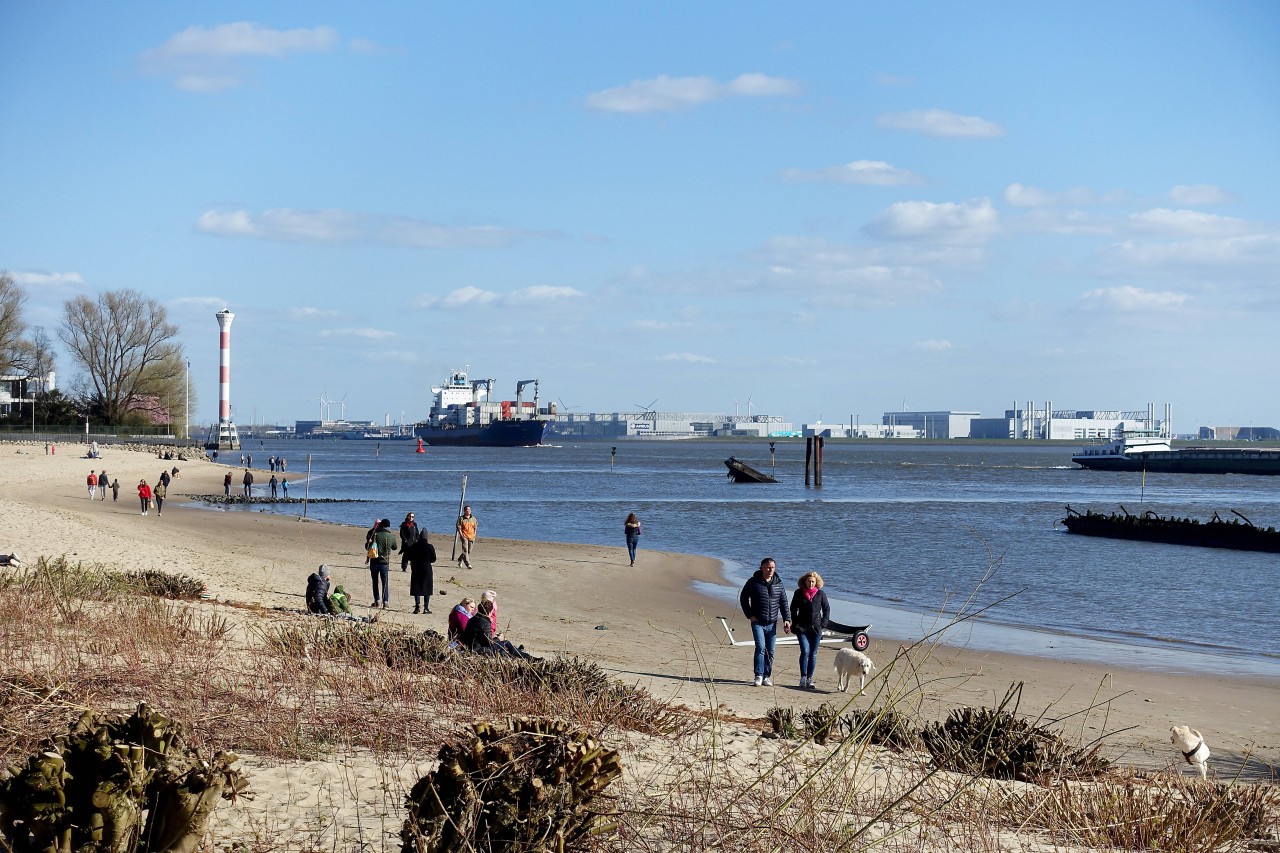 Blick auf den Elbuferwanderweg an der Elbe bei Hamburg-Blankenese.