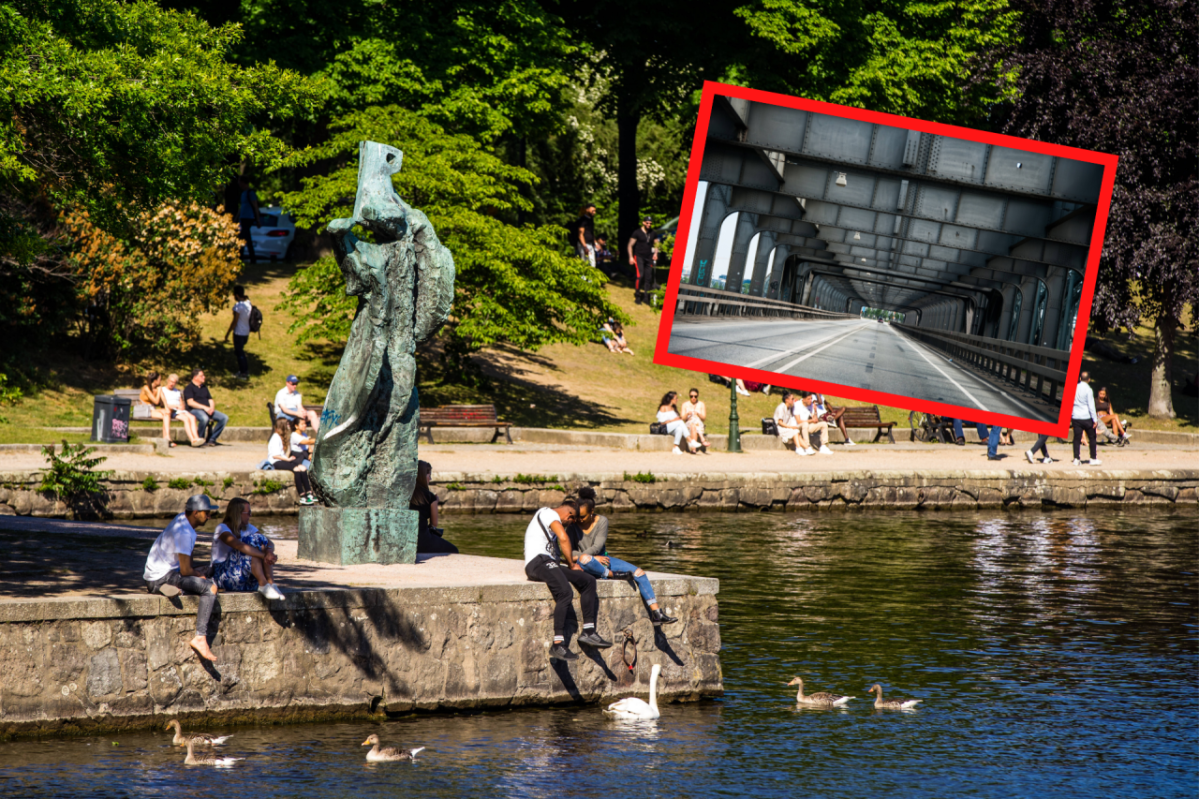 Hamburg Grüne Stadt Straßenbäume gefällt Nachpflanzung.png