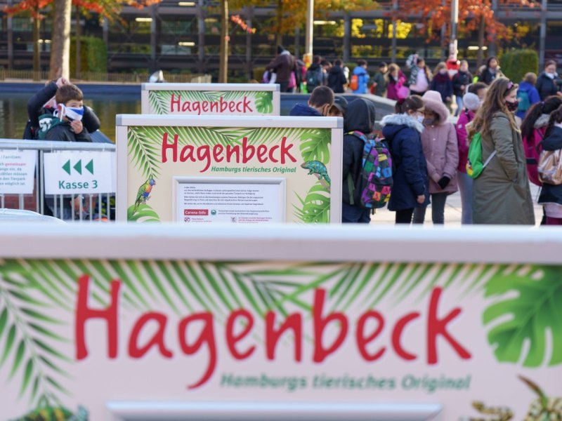 Hamburg Hagenbeck Tierpark Aktion.jpg
