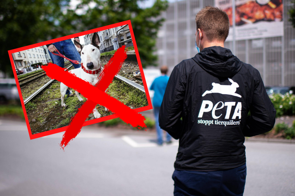 Hamburg-Peta.png