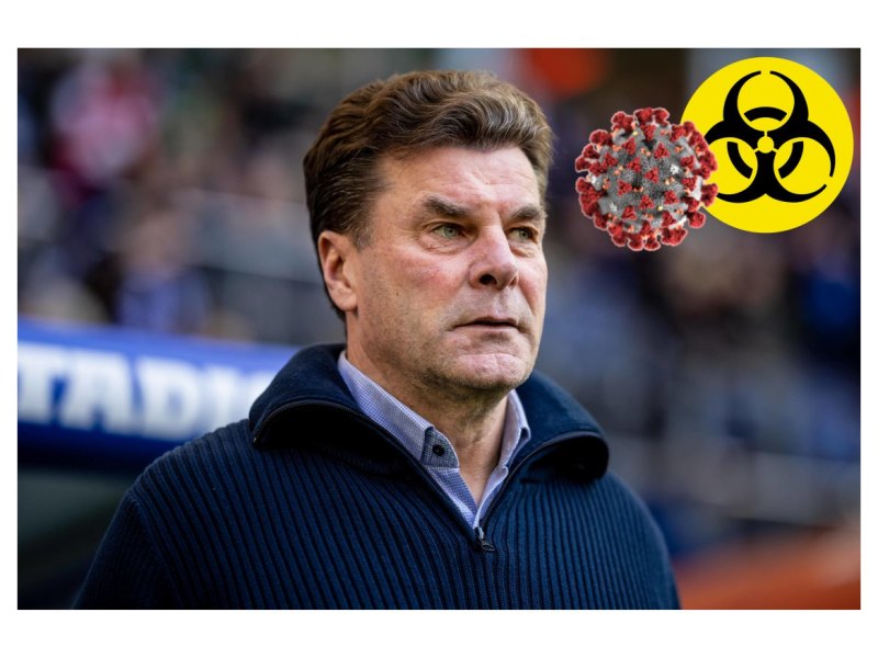 Hamburger SV.jpg