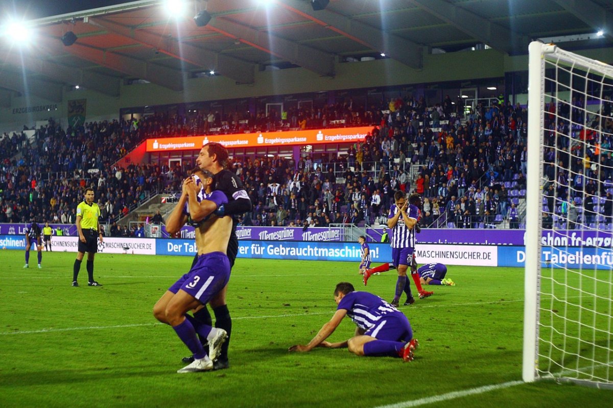 Hamburger SV Erzgebirge Aue