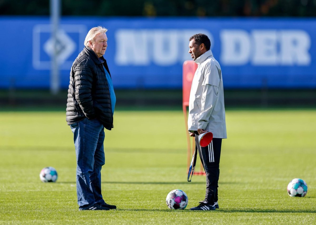 Hamburger SV Hrubesch Thioune