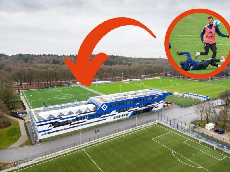 Hamburger SV Leibold.jpg