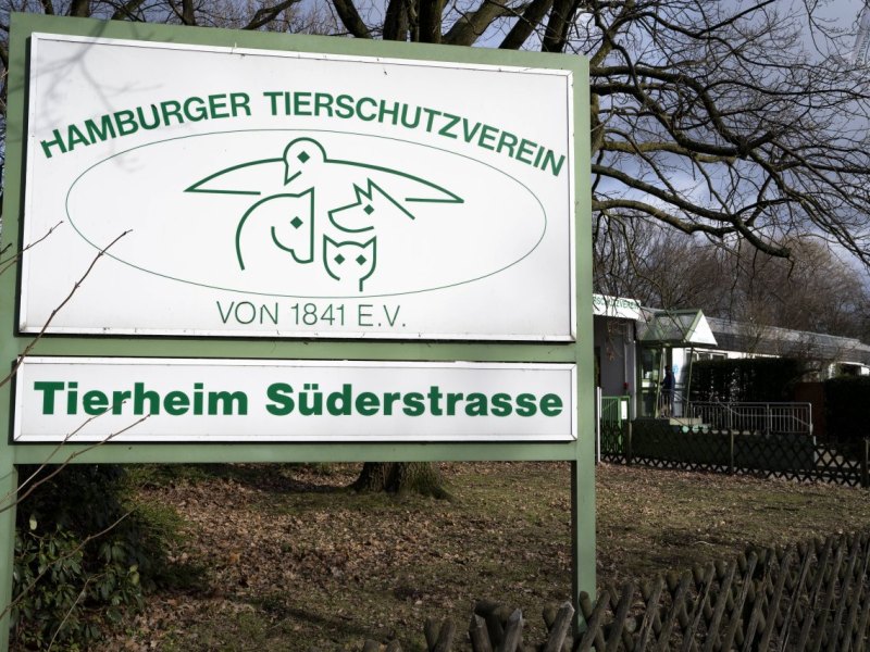 Hamburger Tierschutzverein.jpg