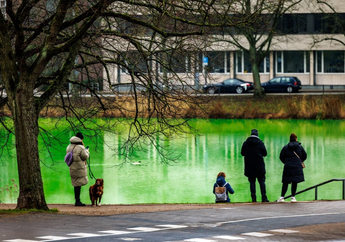 Kiel Förde Hafen Schleswig-Holstein Wasser grün Rohrbruch Stadt