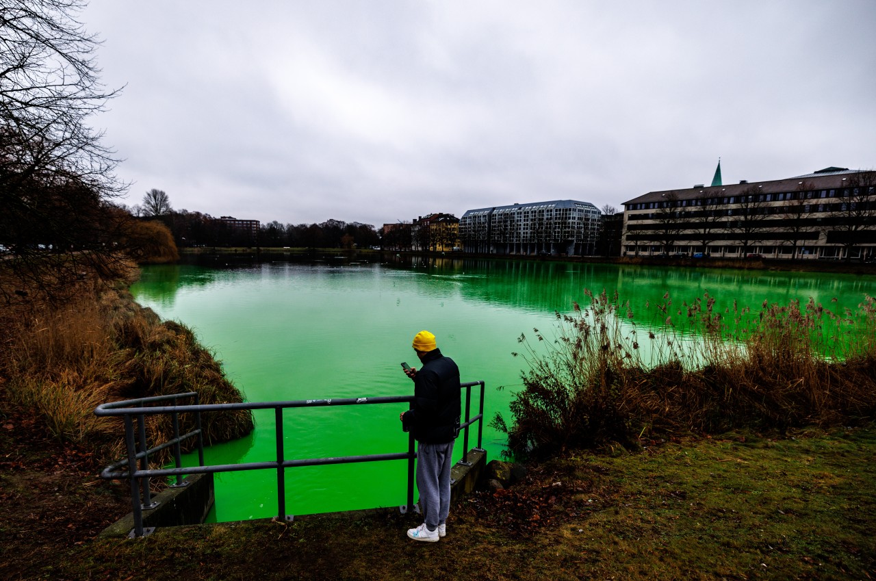 Der Kleine Kiel hat sich am Sonntag knallgrün gefärbt. 