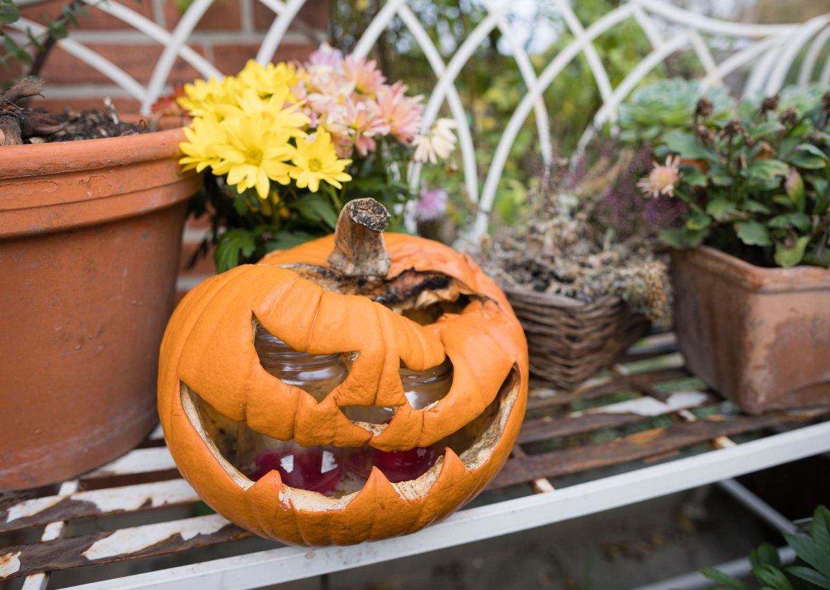 Kürbis Flensburg Halloween