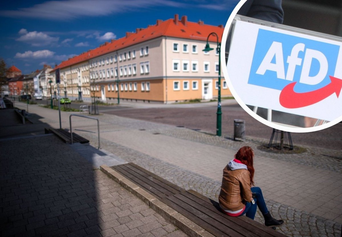 Landtagswahl MV_AfD.jpg