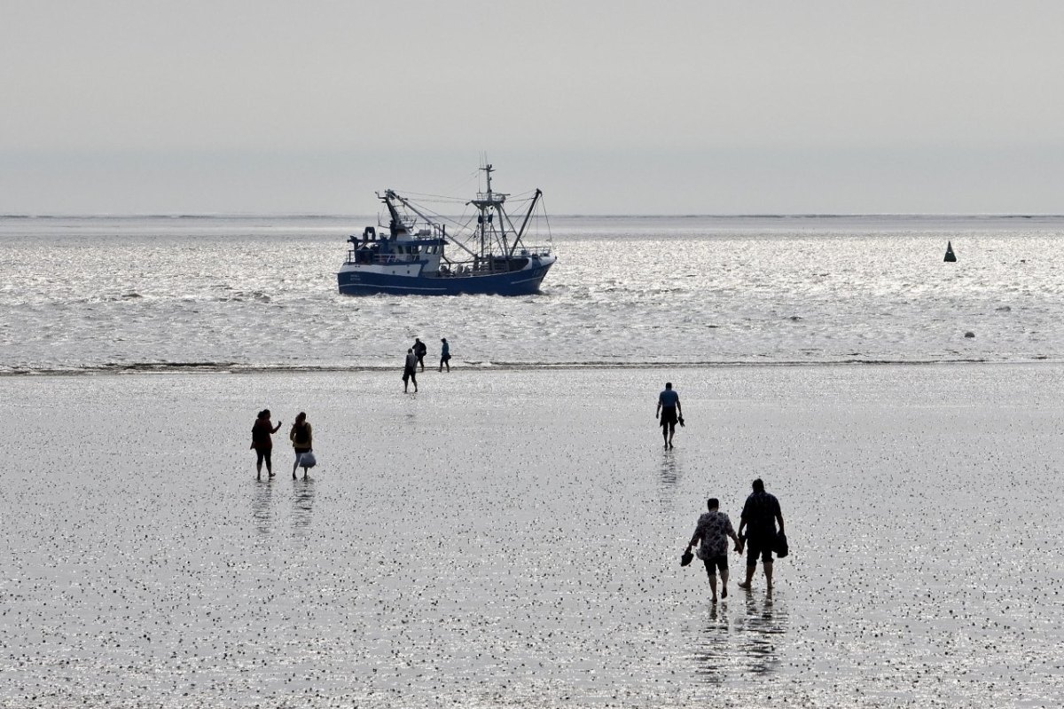 Langeoog Nordsee Watt Urlaub Insel Feuerwehr Polizei Schlick Wattwanderung