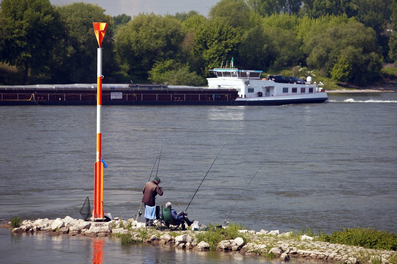 Zwei Angler kämpften in MV 45 Minuten um einen Fang  (Symbolbild).