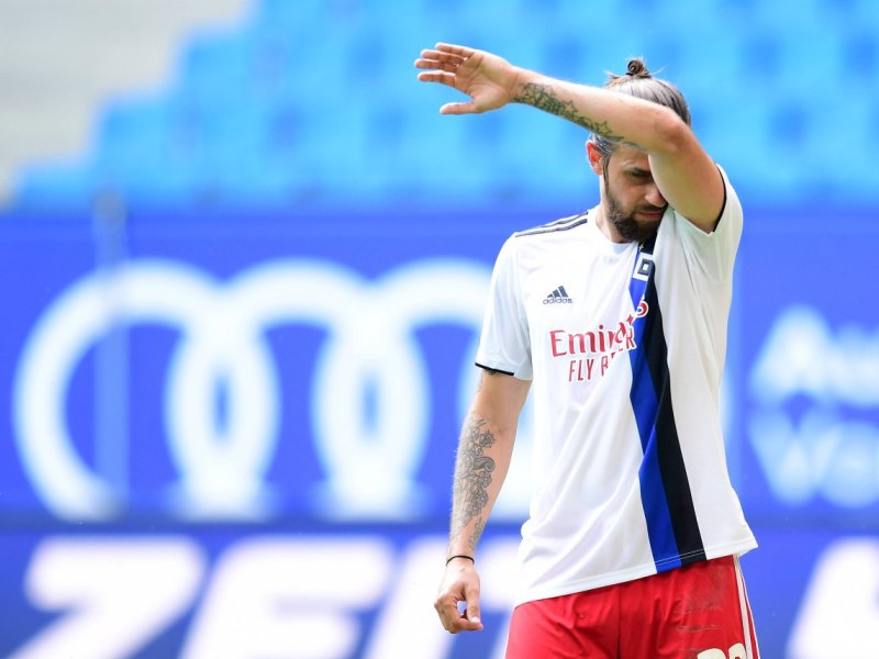 Martin Harnik Hamburger HSV