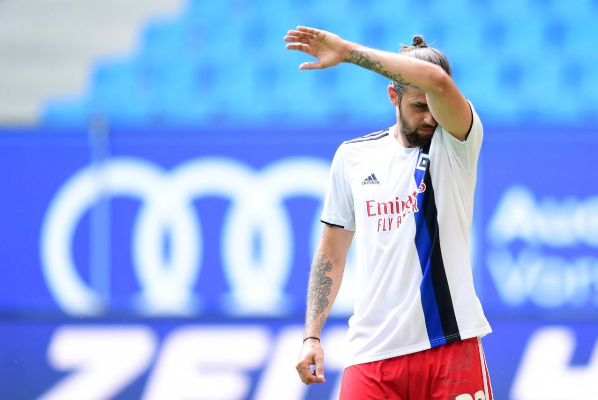 Martin Harnik Hamburger HSV