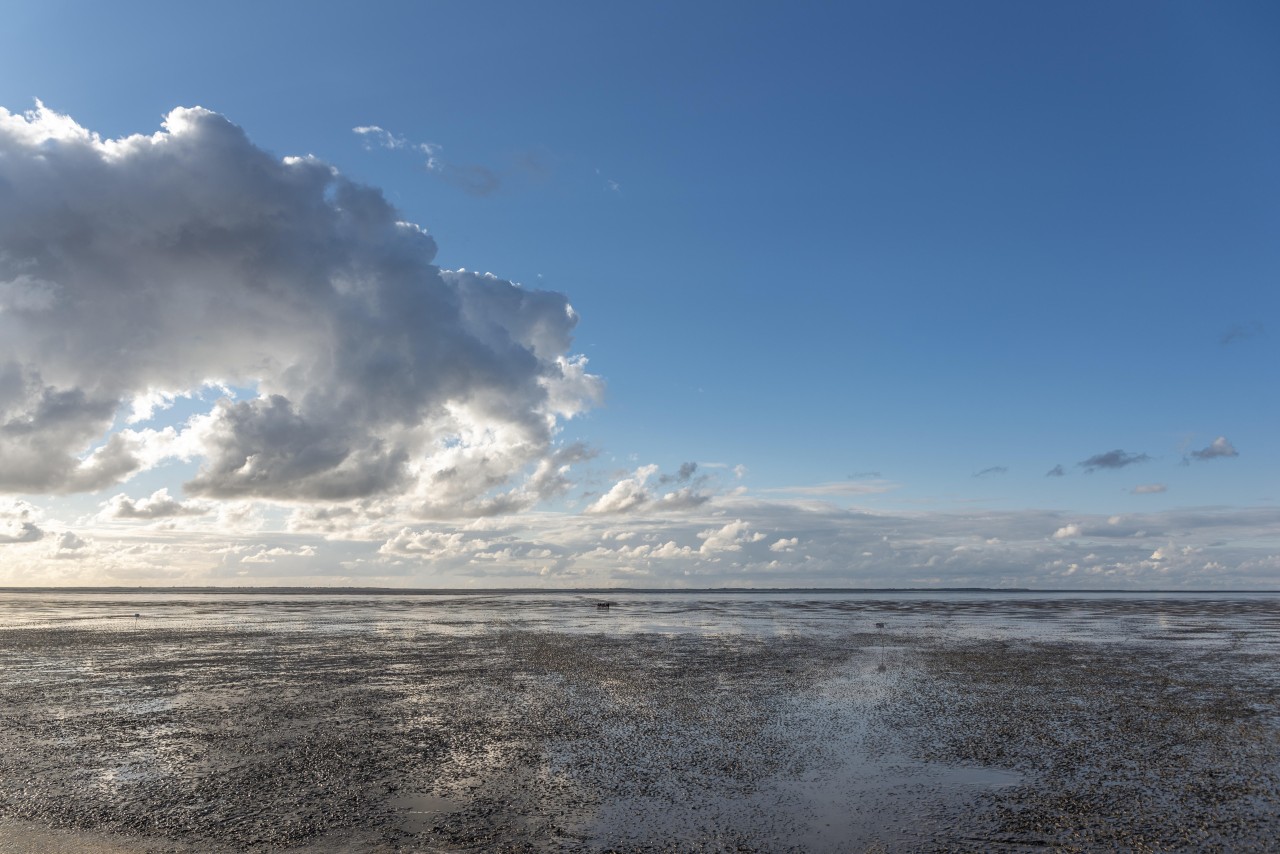 In der Nordsee verbergen sich zahlreiche Geheimnisse.