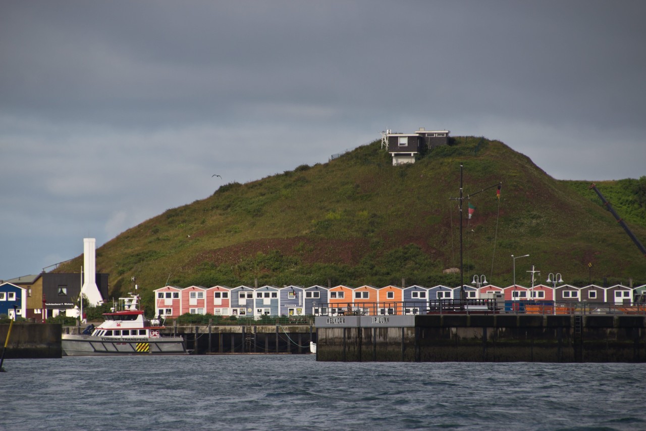 Dass es vor Helgoland Haie gibt, ist nicht jedem bekannt.