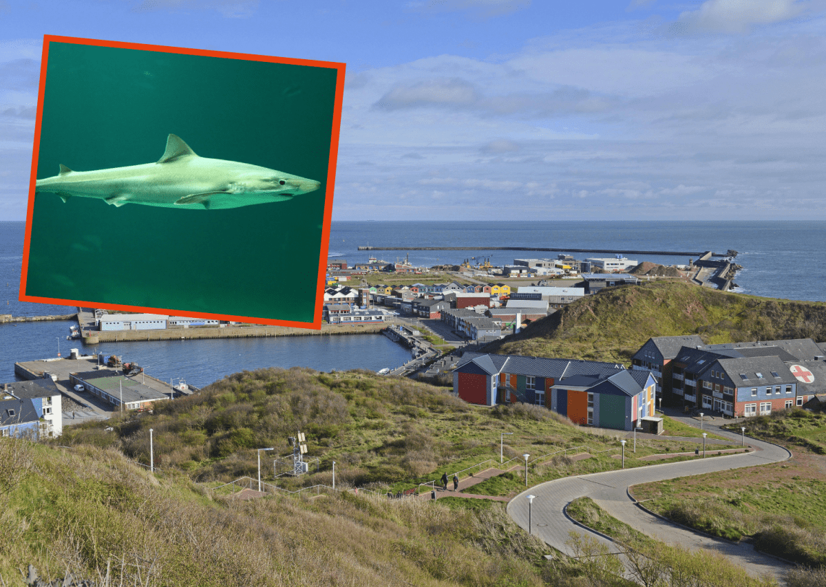 Meer Nordsee Helgoland