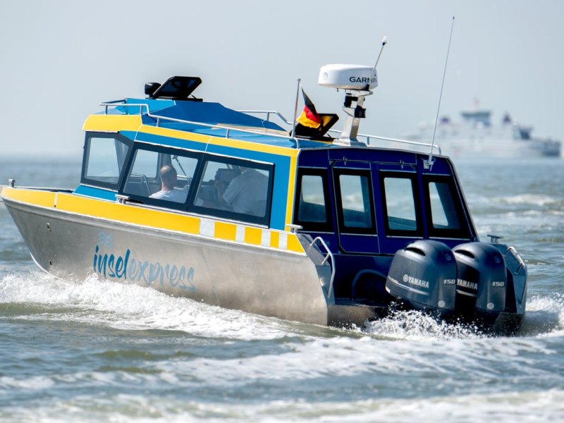 Meer Nordsee Rehbock.jpg