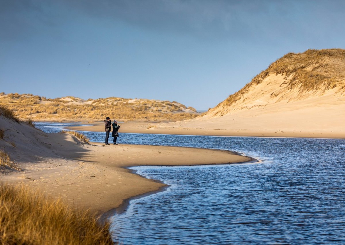 Norderney Nordsee DÃ¼ne.jpg