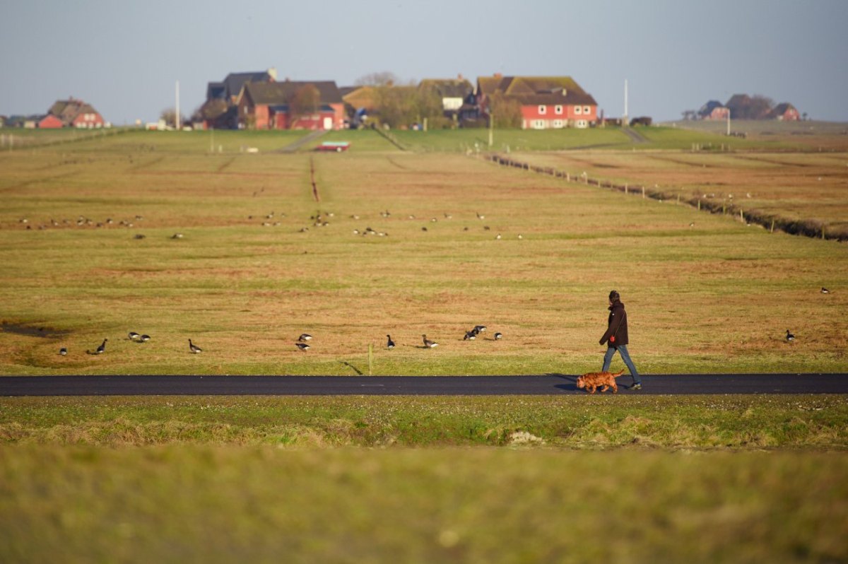 Nordsee.jpg