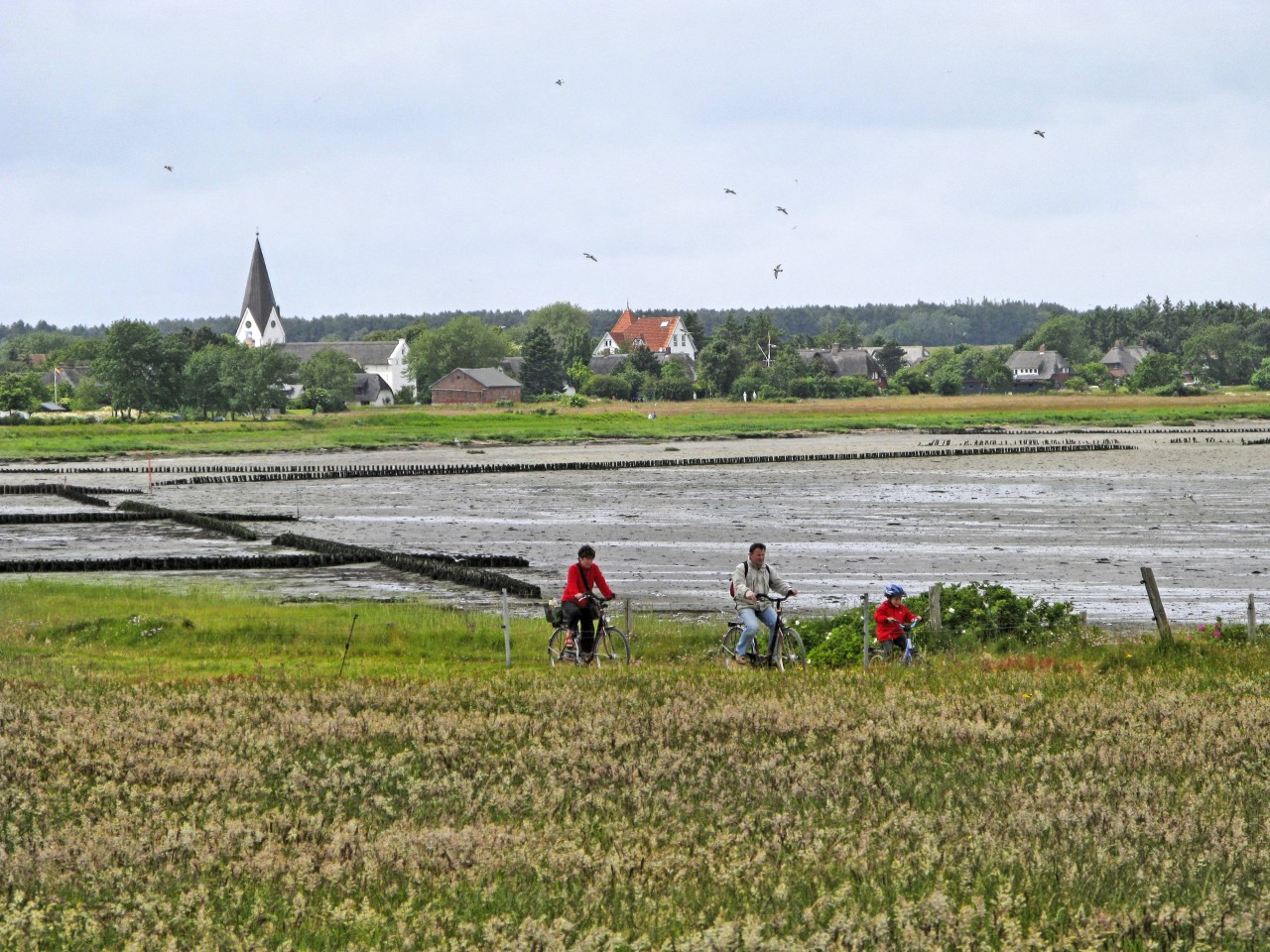 Nordsee: Ein Bauvorhaben auf der Insel Amrum stößt nicht auf viel Gegenliebe. (Archivbild)