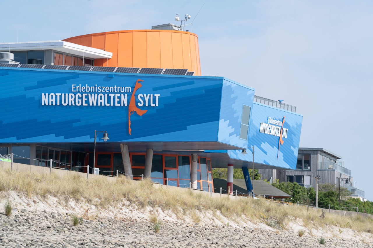 Der Koordinator des neuen Projekts bringt Erfahrungen aus dem Erlebniszentrum Naturgewalten Sylt mit.