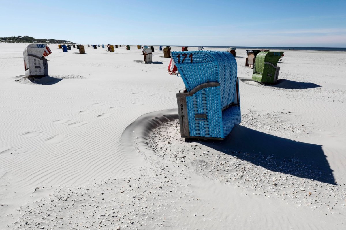 Nordsee_Amrum.jpg