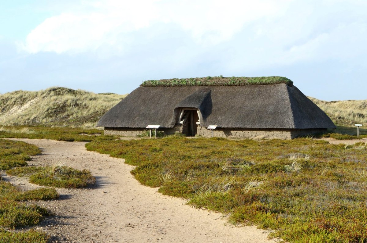 Nordsee Amrum Sylt Nordfriesland