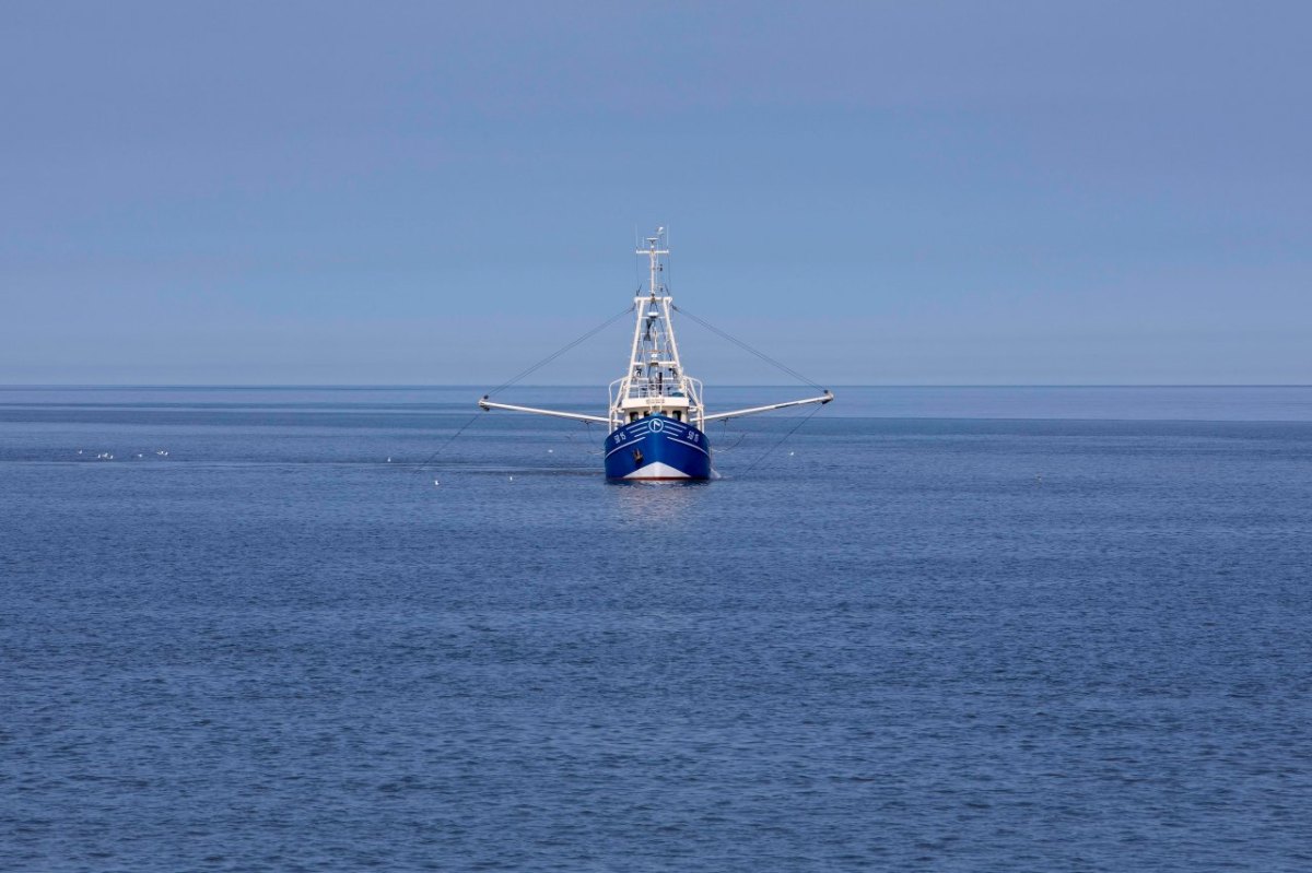 Nordsee Büsum Hafen Kutter gesunken Feuerwehr