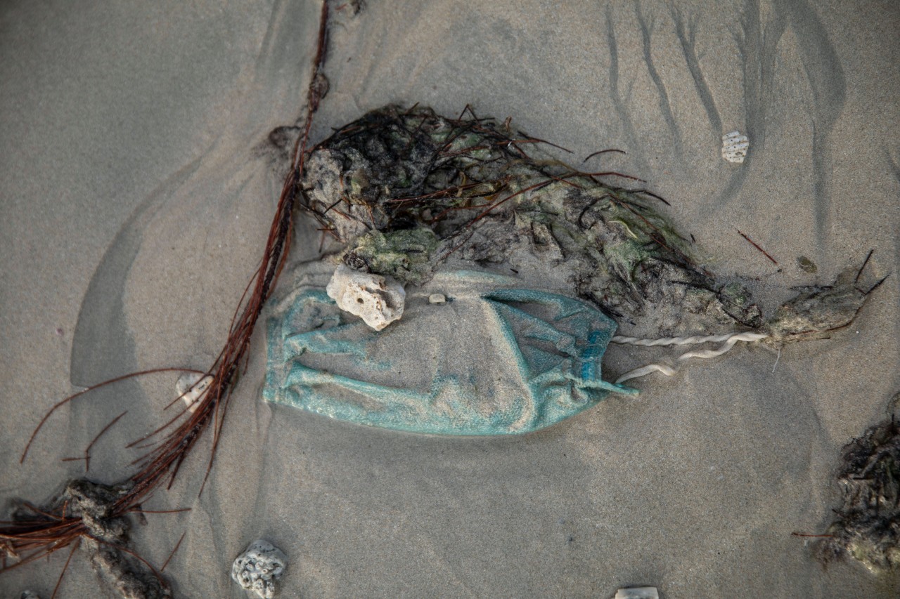 Nordsee: OP-Masken und FFP2 Masken werden oftmals einfach in der Natur entsorgt (Symbolbild).