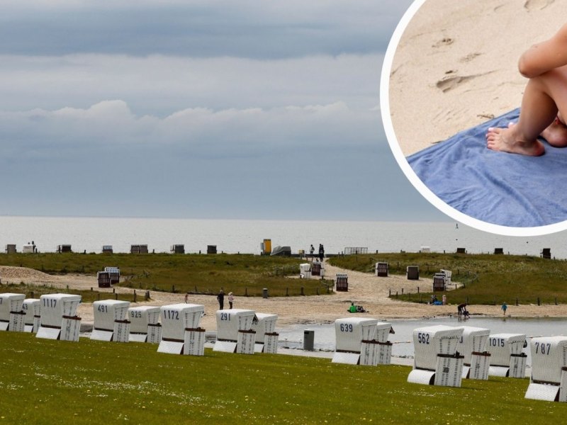 Nordsee_Handtuch.jpg