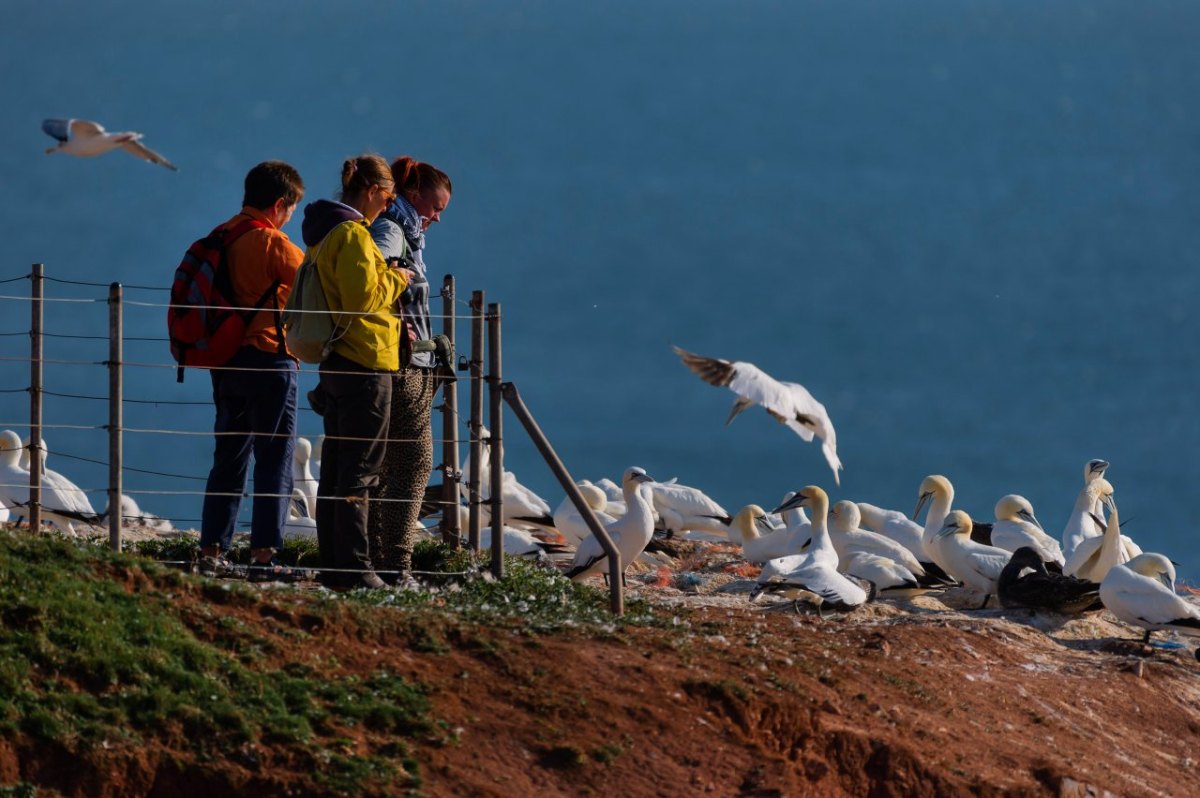 Nordsee Helgoland Schiff Urlaub Ferien Diebstahl Facebook Familie Abreise