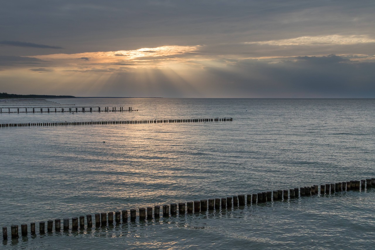 Schlechte Nachrichten für alle die hier an der Ostsee, oder an der Nordsee, Urlaub machen wollen!