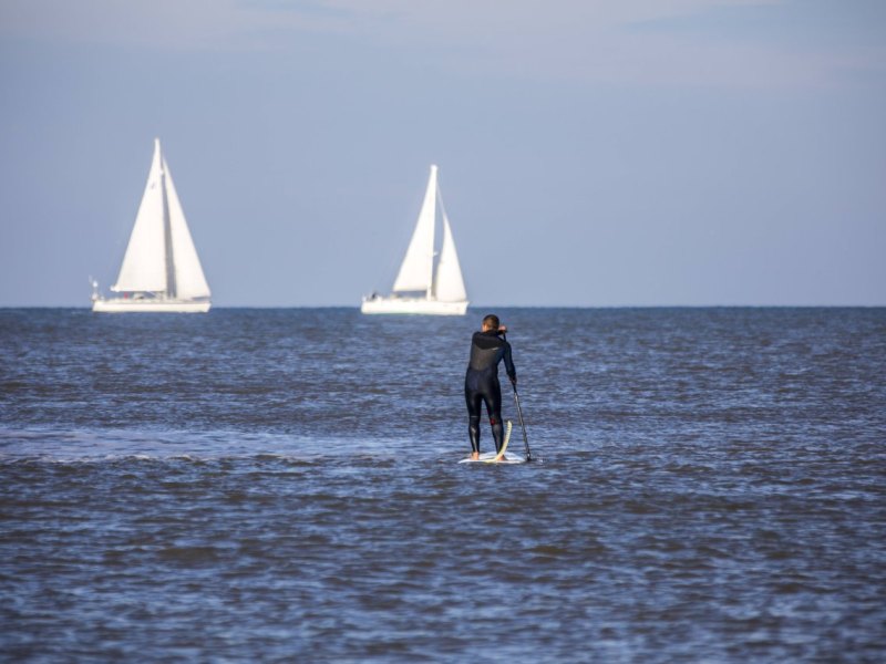 Nordsee_Paddler.jpg