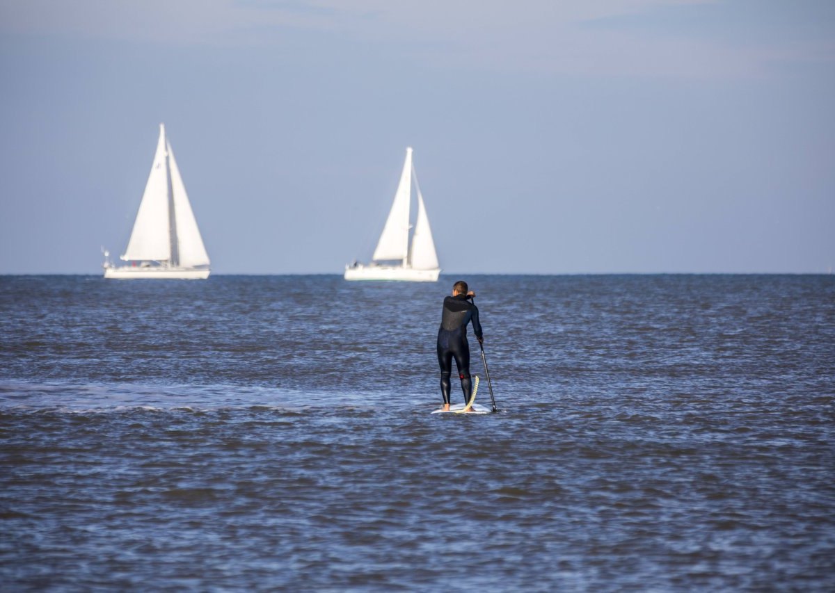 Nordsee_Paddler.jpg