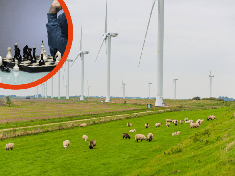 Nordsee Senior Schach.png