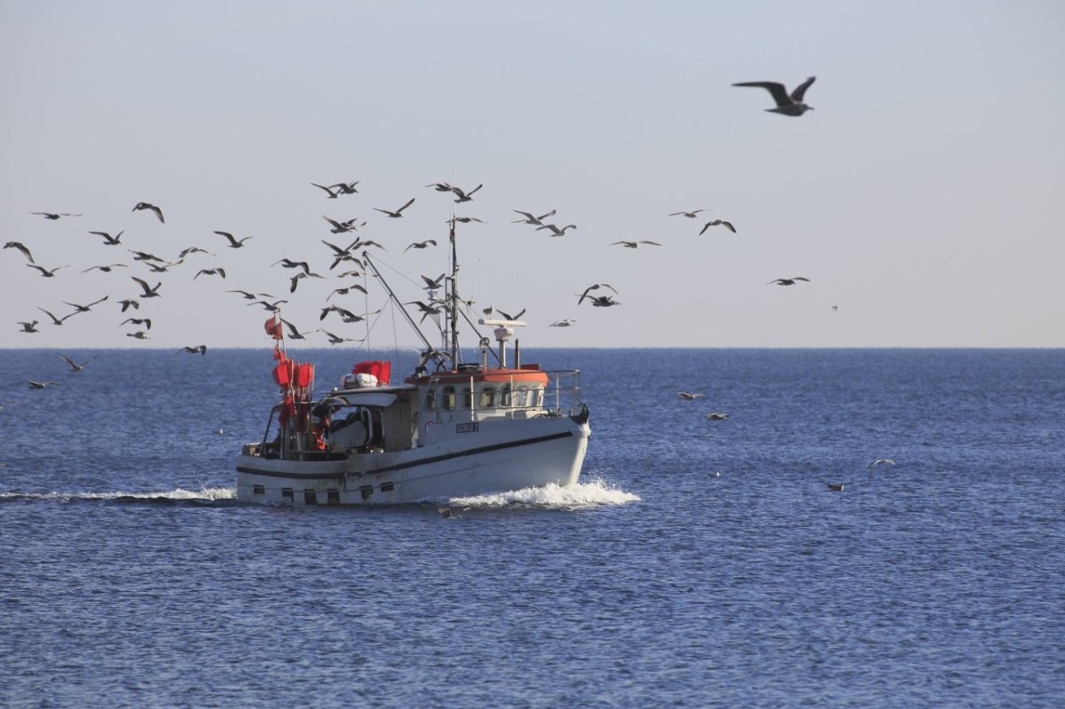 Ostsee.jpg