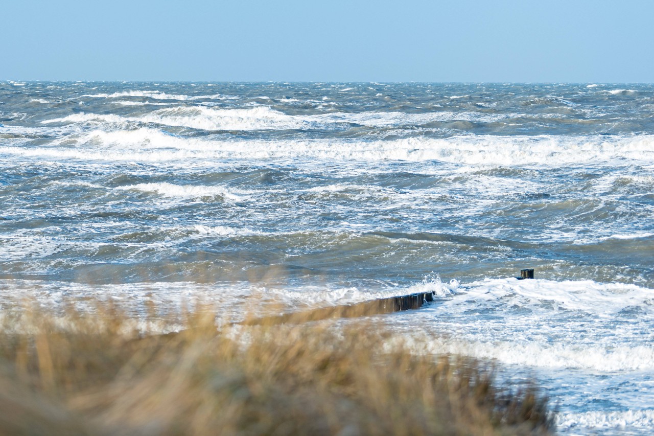 Die Ostsee bringt eine ernstzunehmende Gefahr, gegen die nun angegangen werden muss.