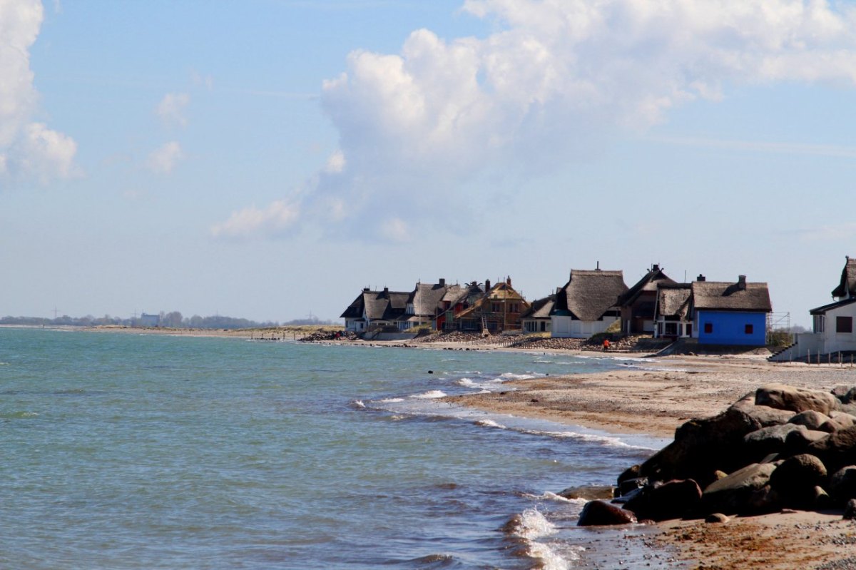 Ostsee Fehmarn Grillanzünder Katzenklappe