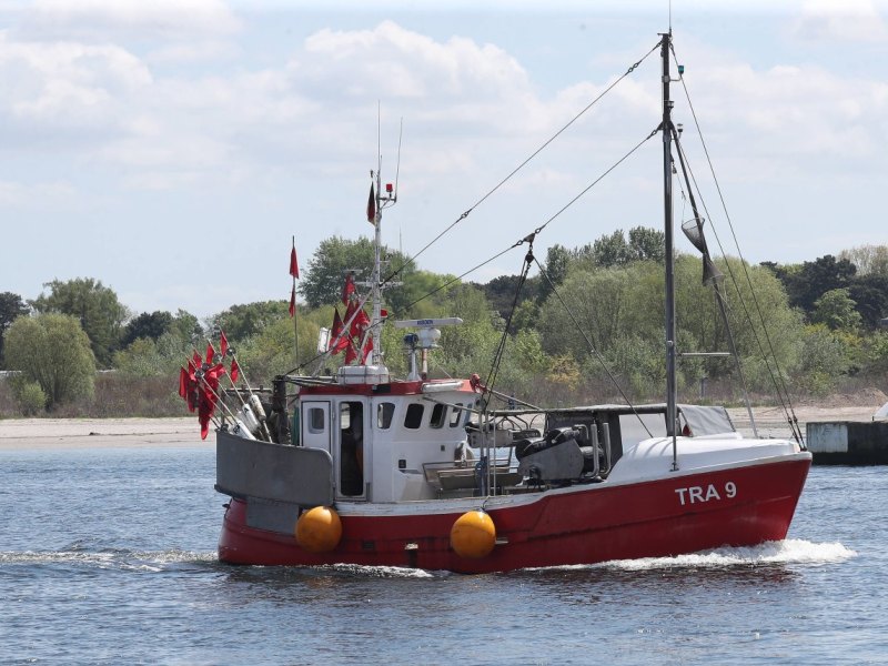 Ostsee Fisch Restaurant Regional.jpg